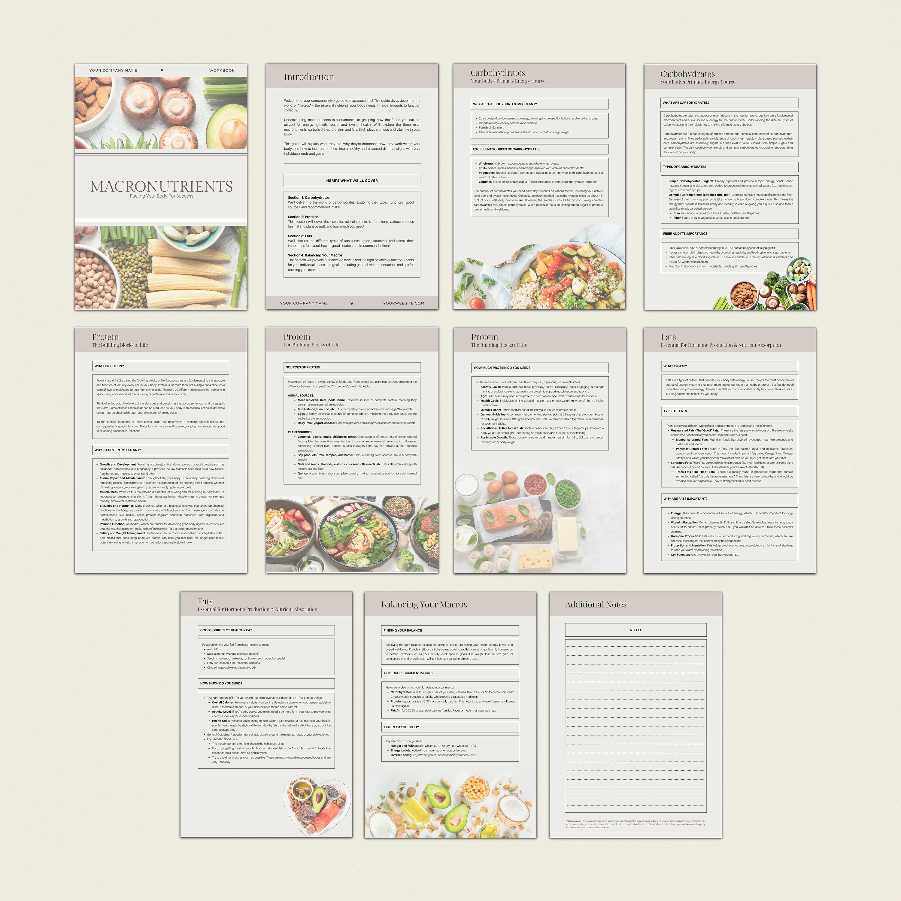 THRIVE NUTRITION CONTENT STUDIO | FULL ACCESS - Thrive Nutrition Studio