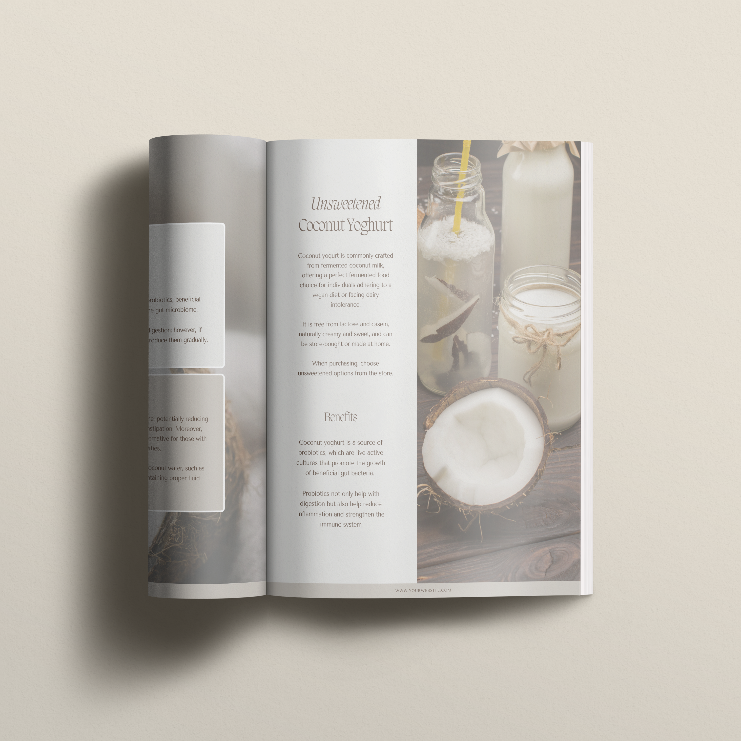 Comprehensive Fermented Foods Guide Template | Lead Magnet - Thrive Nutrition Studio