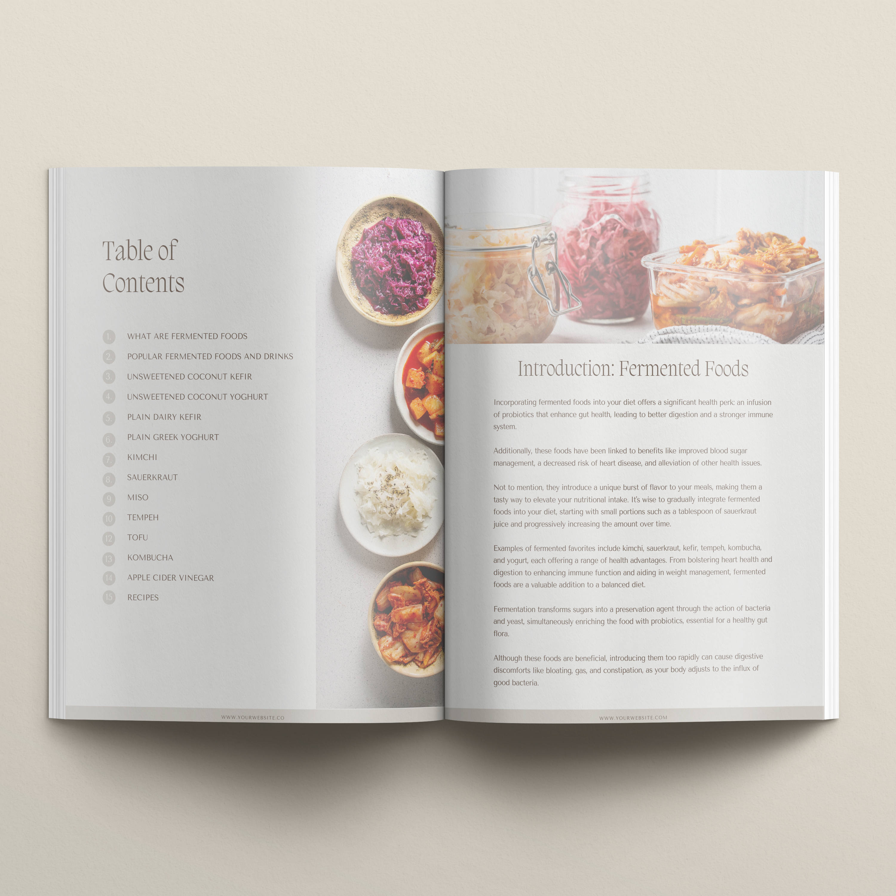 Comprehensive Fermented Foods Guide Template | Lead Magnet - Thrive Nutrition Studio