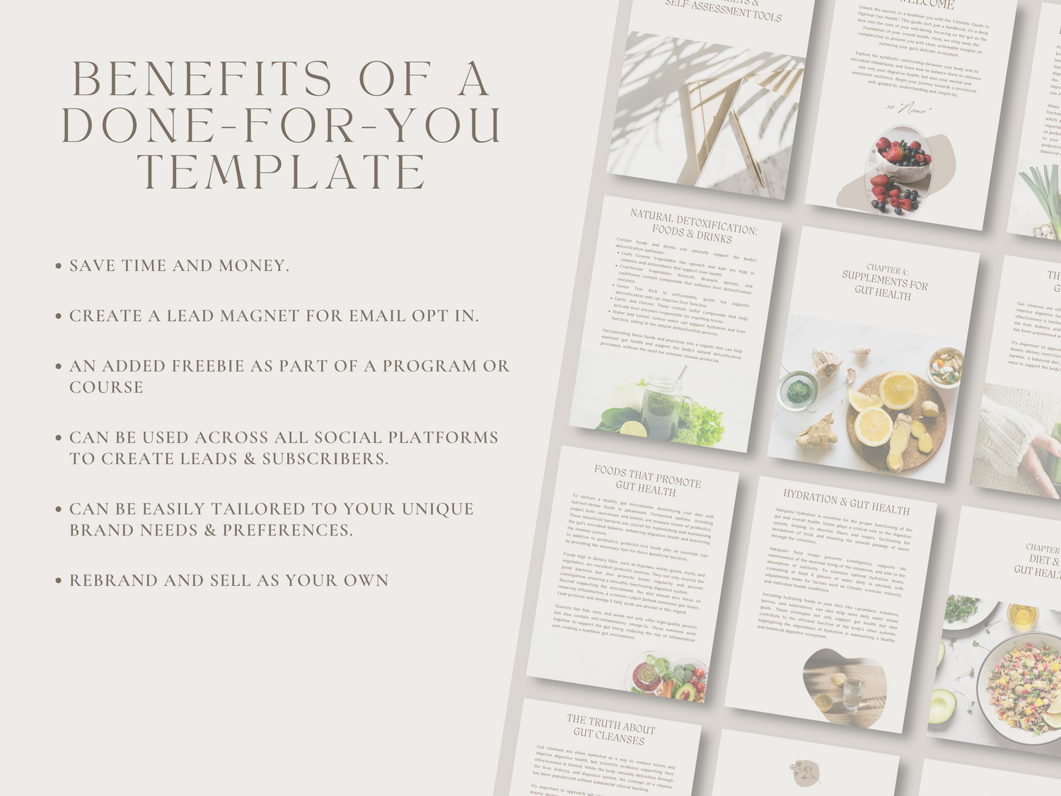 Comprehensive Optimal Gut Health Guide Template | Lead Magnet - Thrive Nutrition Studio