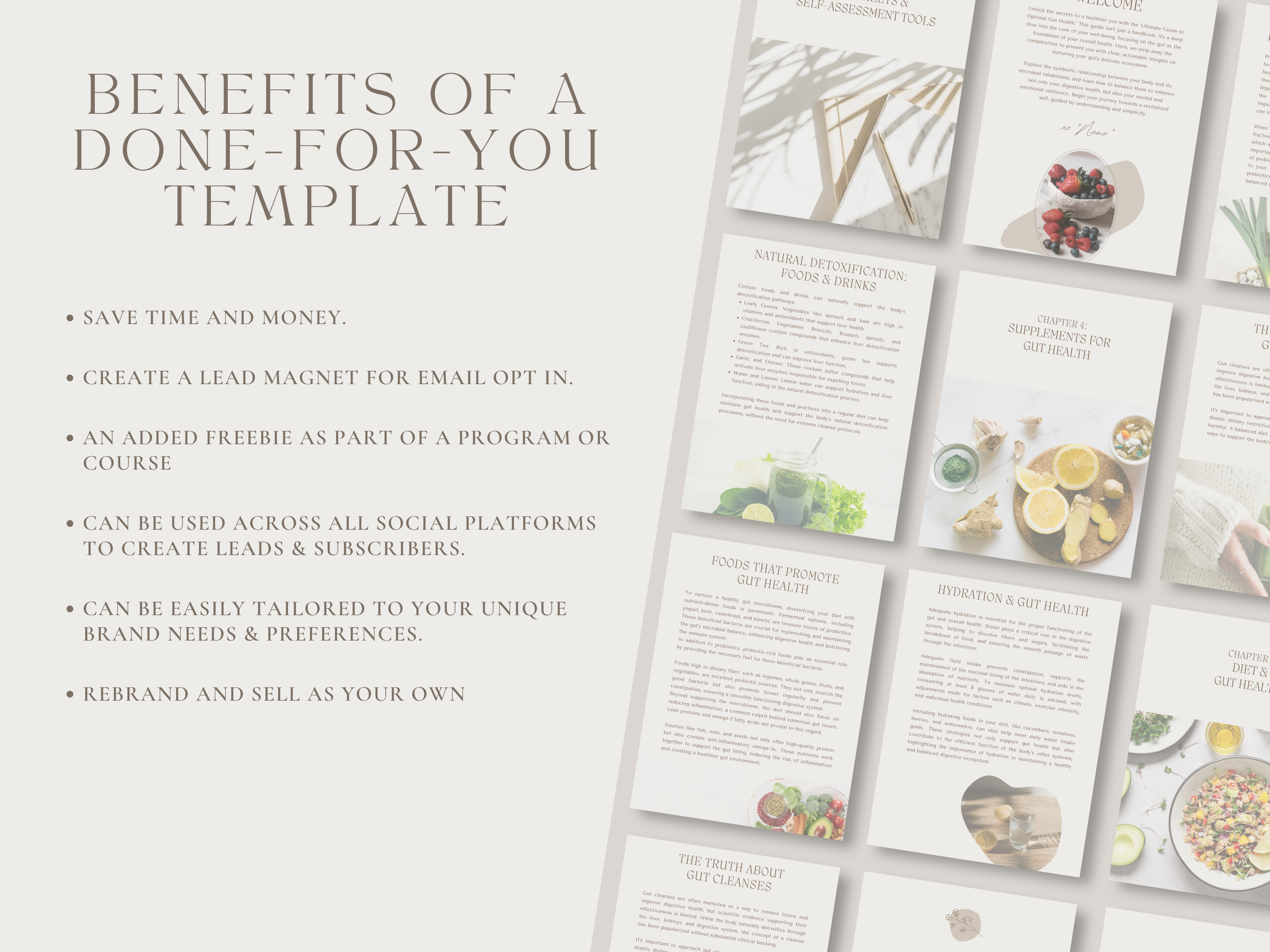 Comprehensive Optimal Gut Health Guide Template | Lead Magnet - Thrive Nutrition Studio