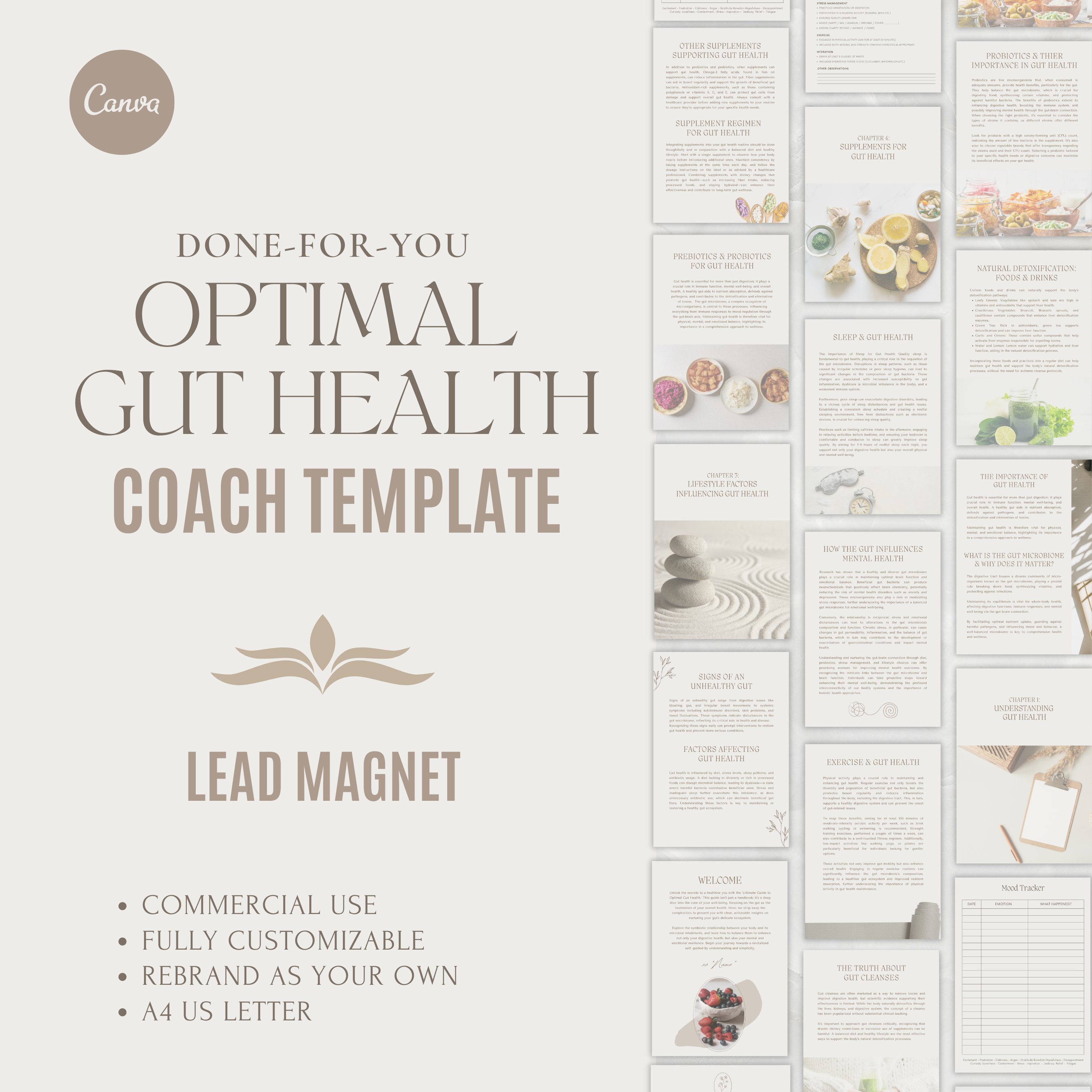 Comprehensive Optimal Gut Health Guide Template | Lead Magnet