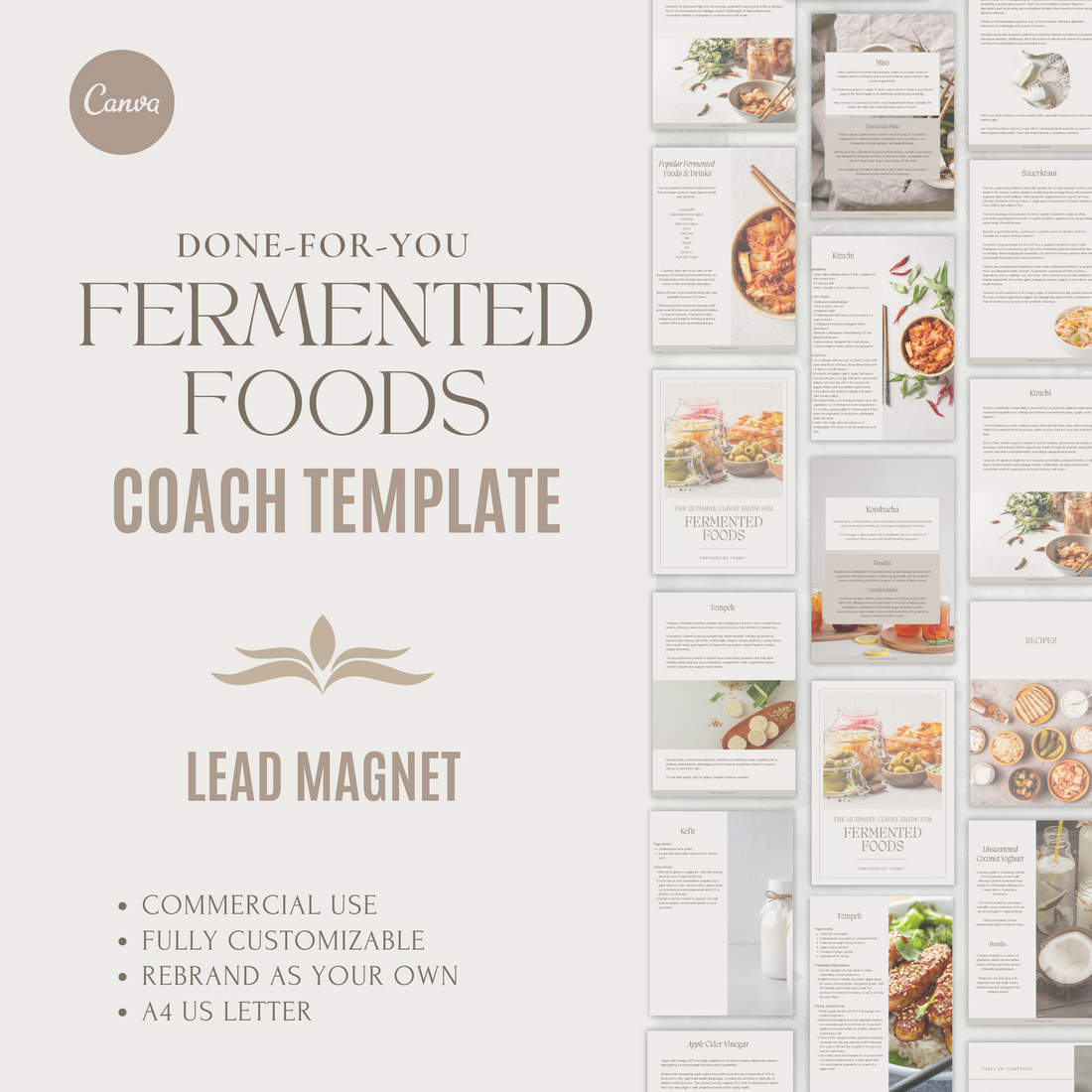 Comprehensive Fermented Foods Guide Template | Lead Magnet